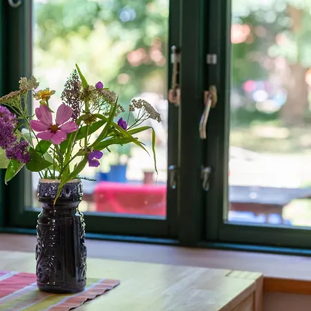 Broockhof Unterm Sternenhimmel In Mecklenburg 아파트 Reimershagen