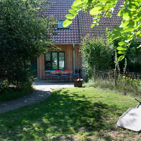 Broockhof Mit Ruhe, Und Sternenhimmel
